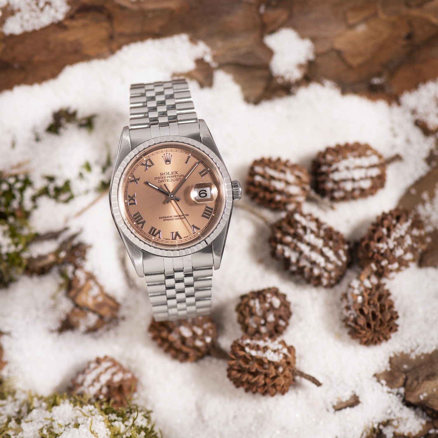Rolex datejust 2025 36 salmon dial